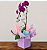 Orquídea Phalaenopsis Roxa - Imagem 1