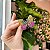 Broche Borboleta - Imagem 1