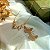 Conjunto Colar + Brinco Borboleta - Imagem 1