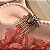Pente Bee - Imagem 1