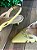 Scarpin Andria Yellow - Imagem 2