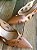 Scarpin Andria Camel - Imagem 4