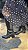 Bota Aron Cano Longo Preto - Imagem 1