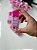 10 unidades. Tic Tac personalizado - Imagem 3