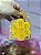 Mini Body Splash - Perfume De Bolsa (o Frasco Pode Ser Personalizado) - Brinde Para Setembro Amarelo - Imagem 5