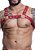 Harness Couro Sintético Super Luxo Metal Exp - Imagem 1