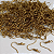 ACESSORIO NO BRUTO PRONTO PARA O BANHO - BASE DE BRINCO TIPO ANZOL - (VENDIDA POR PAR) PESO DO PAR0,5GR - BRU00045 - Imagem 1