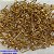 ACESSORIO(BRINCO NO BRUTO PRONTO PARA O BANHO(CX82)(REDONDO) -BRINCO DE PINO ZIRCONIA - TAMANHO  4MM - PESO TOTAL 0,5GR - BRU0001134 - Imagem 1