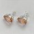 BRINCO FOLHEADA A PRATA COM 50 MILÉSIMOS + VERNIZ DIAMOND - BRINCO DE PINO BASE ALTA FUSÃO SALMÃO 10X14MM PRA463 - Imagem 2