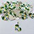 PINGENTE FOLHEADO A PRATA COM 50 MILÉSIMOS + VERNIZ DIAMOND - PINGENTE CORAÇÃO BANDEIRA DO BRASIL 15X20MM - PRA1041 - Imagem 1