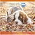 Ração Seca Farmina N&D Pumpkin Canine Frango & Romã Adult Mini Breeds para Cães Adultos de Raças Pequenas - 2,5Kg - Imagem 7