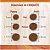 Ração Seca Farmina N&D Pumpkin Canine Cordeiro & Blue Adult Mini Breeds para Cães Adultos de Raças Pequenas - 10,1Kg - Imagem 4