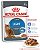Ração Royal Canin Sachê Wet Light Weight Care para Gatos Adultos com Tendência a Ganho de Peso - 85 Gr - Imagem 1