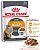 Ração Royal Canin Sachê Wet Intense Beauty para Gatos Adultos na Manutenção da Beleza da Pelagem - 85Gr - Imagem 1