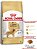 Ração Royal Canin para Cães Adultos da Raça Golden Retriever - 12 Kg - Imagem 1