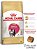 Ração Royal Canin Kitten Persian para Gatos Filhotes da Raça Persa - 1Kg - Imagem 1