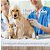 Ração Seca Farmina Vet Life Natural Hypoallergenic Pork e Potato para Cães Adultos - 2Kg - Imagem 7