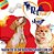 Ração Úmida Nestlé Purina Dog Chow Sachê Carne para Cães Filhotes Raças Médias - 100 Gr - Imagem 6