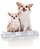 Tapete Higienico NY Dogs 07 Un - 82 X 60 CM - Imagem 2