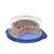 BOLEIRA DE PLASTICO GOLD COM TAMPA 13X26,5CM - Imagem 4