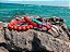 Kit de Pulseiras Coloridas com Borrachinhas - Imagem 2