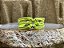 Pulseira Amarela Neon - Imagem 1