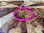 Pulseira Cordão Pink - Imagem 3