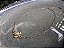 Colar Choker Correntinha com Pingente Tartaruga - Imagem 5