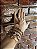 Kit de Pulseiras Bandana Marrom com Dourado - Imagem 6