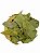 GRAVIOLA PCT 20 GRAMAS - Imagem 1