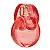 Perfume Omnia Coral Bvlgari Eau de Toilette Feminino - Imagem 1