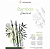 Bloco Sketch Bamboo Hahnemühle 105g/m² A3 - 30 Folhas - Imagem 1