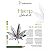 Papel Hemp Sketch Hahnemühle 80 g/m² A5 - 80 Folhas - Imagem 1