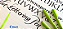 Caneta Lettering Pen Pilot 2.0 mm - Preto - Imagem 3