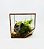 TERRARIO CUBO MEDIO - Imagem 1