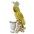 CACATUA AMARELA NO TRONCO - Imagem 1