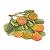 PETISQUEIRA DE LARANJA COM FOLHAS - Imagem 1