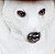 MESA URSO POLAR G - Imagem 2