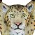 MESA LEOPARDO G - Imagem 7
