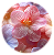 Vela Copo Perfectly Pink Yuzu - WICKED x Voluspa - Imagem 5