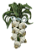 RESTIA DE ALHO COM LAÇO LISTRADO - Imagem 1
