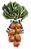 MAÇO DE RABANETES LARANJA E LAÇO LISTRADO - Imagem 1