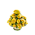 TOPIARIA DE LIMÕES SICILIANOS CRAQUELÊ - Imagem 1