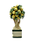 BONSAI PARA MINI FLOREIRA LIMÕES - Imagem 1