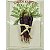 PLACA G GARDEN CARROTS - Imagem 1