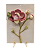 PLACA COM APLICAÇÃO DE FLOR DE MACACO - Imagem 1
