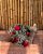 Buquê de Rosas - Imagem 5