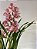 Orquídea Cymbidium Rosa em Vaso Cerâmico Decorado - Imagem 2