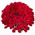 Buquê de Rosas 500 Unidades - Imagem 1