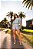 Conjunto Flavi - Imagem 9